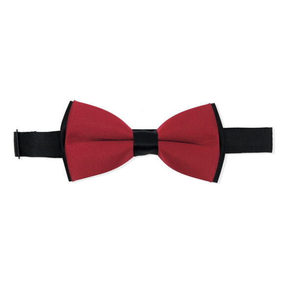 Double Coloured Bow Tie (2 styles) - Image 3